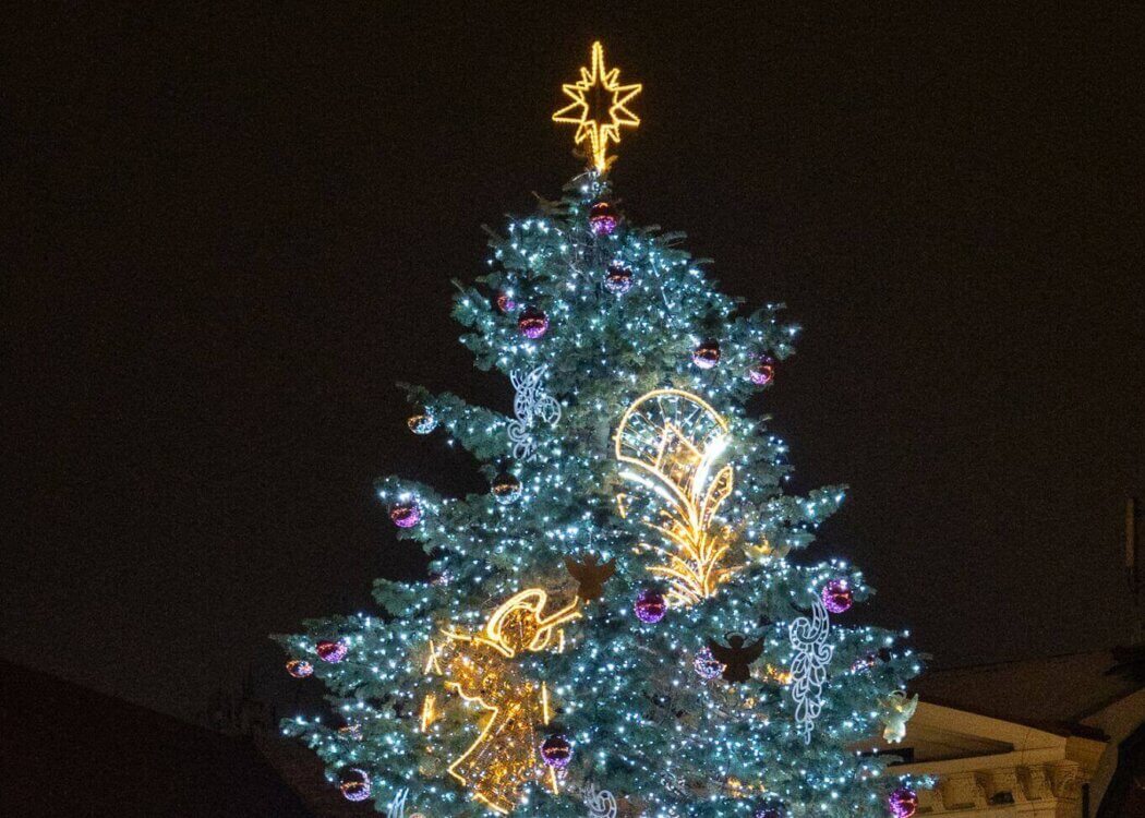 Christmas tree lighting ceremony at the Vegetable Market