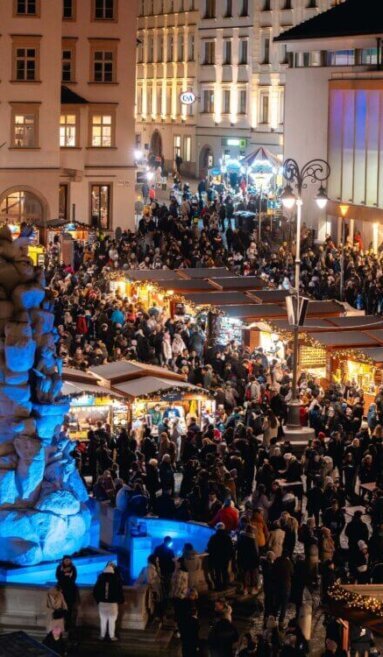 Zimní kino – Havel (2020)