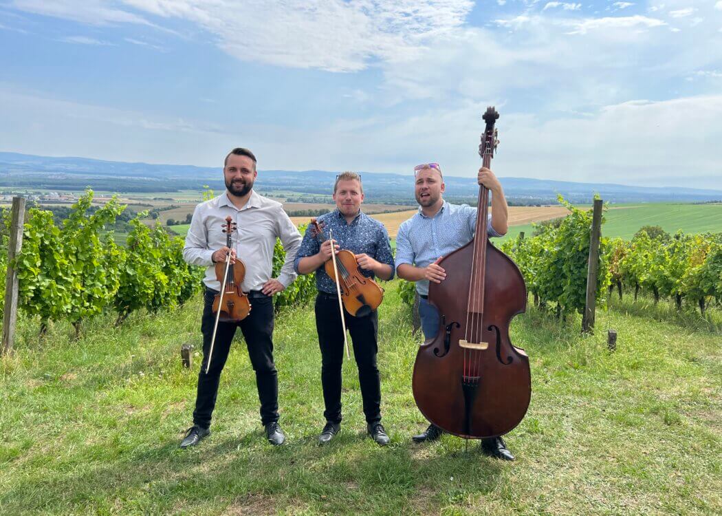 Brněnský čárový orchestr