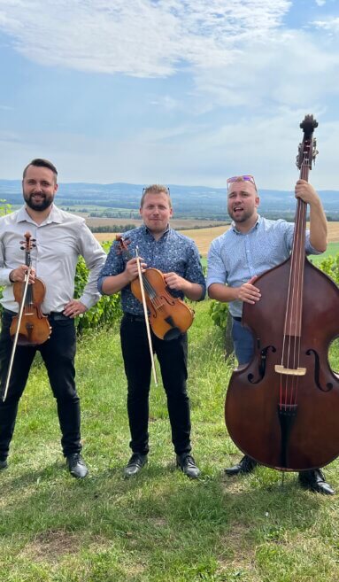 Brněnský čárový orchestr