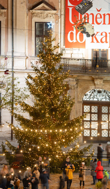 Slavnostní rozsvěcení vánočního stromu u Jošta