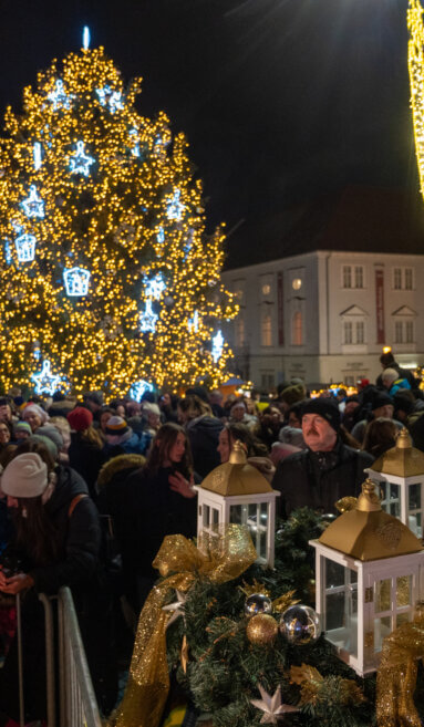 Slavnostní rozsvícení vánočního stromu se zástupci radnice městské části Brno-střed